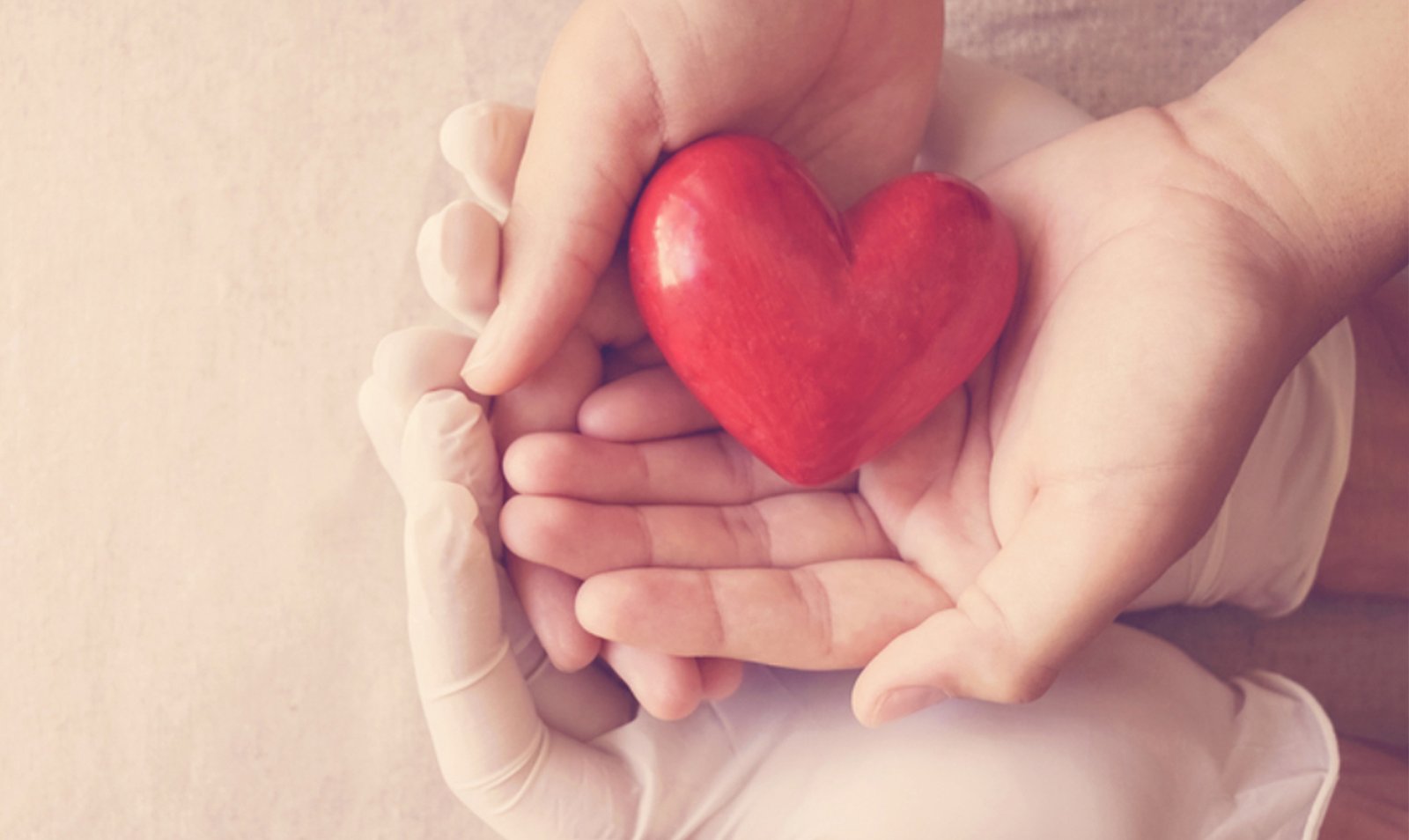 The 6 steps every therapist should know to take care of integral health